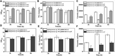 Identification of the Key Enzymes in WL Gum Biosynthesis and Critical Composition in Viscosity Control